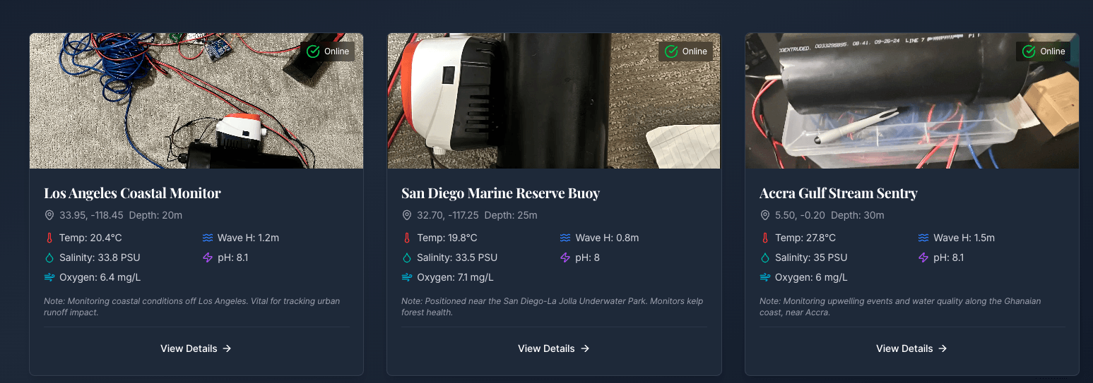 Screenshot of OpenOcean data dashboard displaying oceanographic analytics and buoy data visualization