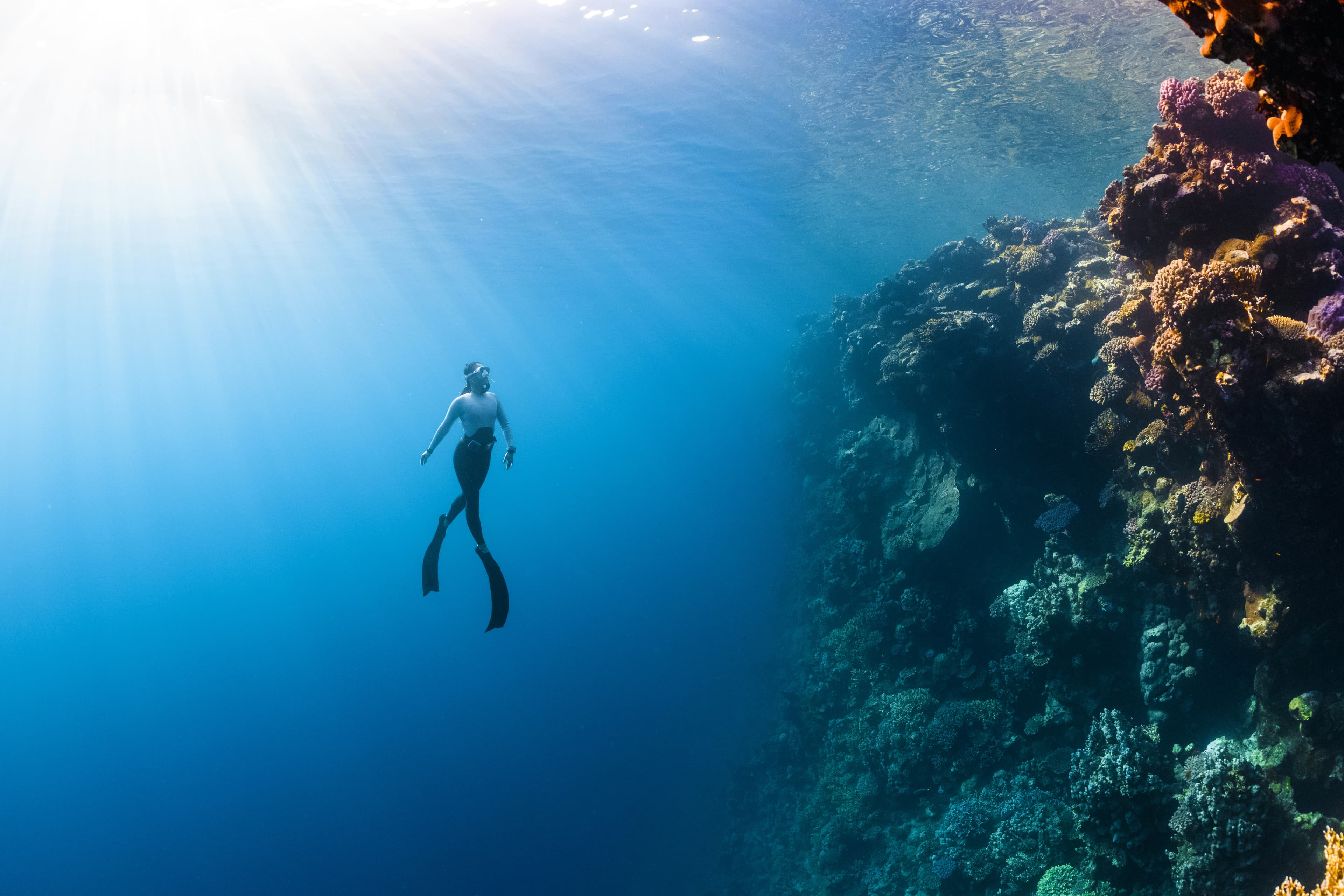 Marine Biodiversity Index